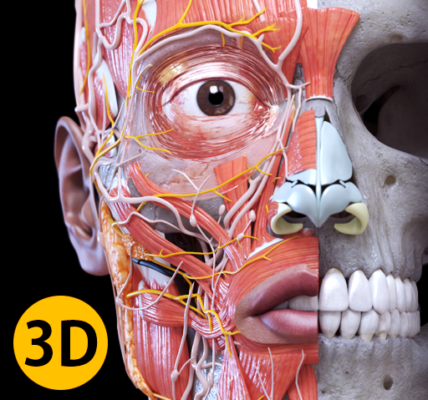 Atlas 3D de anatomía