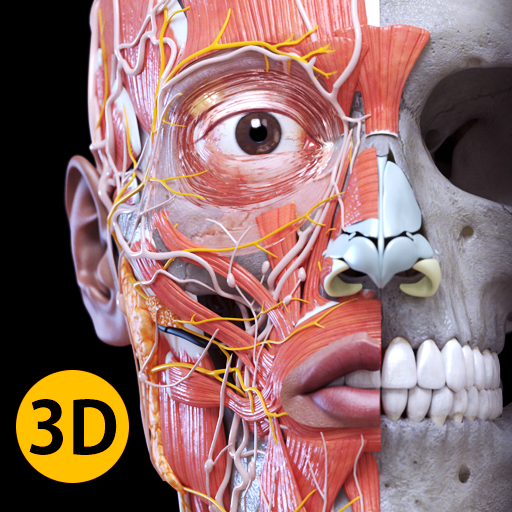 Atlas 3D de anatomía