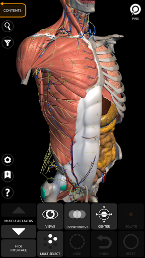 Atlas 3D de anatomía